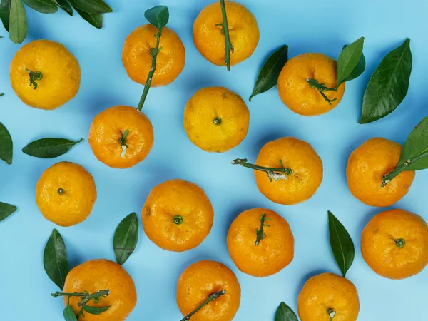 Yaprakları mavi arka planda izole edilmiş turuncu ya da turunçgiller. sağlıklı meyve