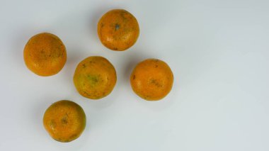 Beyaz arka planda izole portakallar. Turunçgiller. sağlıklı meyve kavramı.