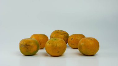 Beyaz arka planda izole portakallar. Turunçgiller. sağlıklı meyve kavramı.