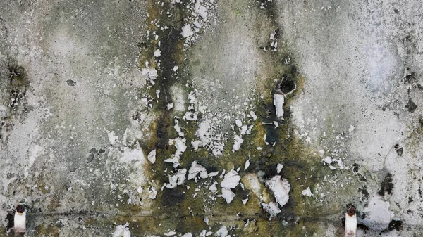 Texture Surface Mousse Sur Ancien Mur — Photo