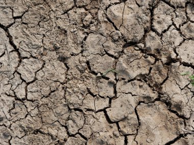 cracked brown dry soil texture.
