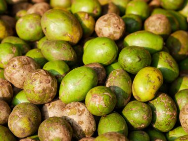 Fresh Ambarella fruit on display for sale in the local Indonesian market.