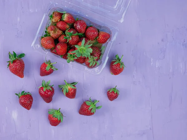 Strawberries Purple Background Top View Healthy Vegetarian Fruit Concept — Fotografia de Stock