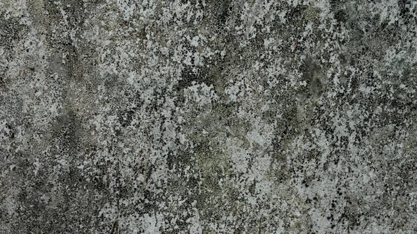 Špinavá Stará Textura Povrchu Stěny — Stock fotografie
