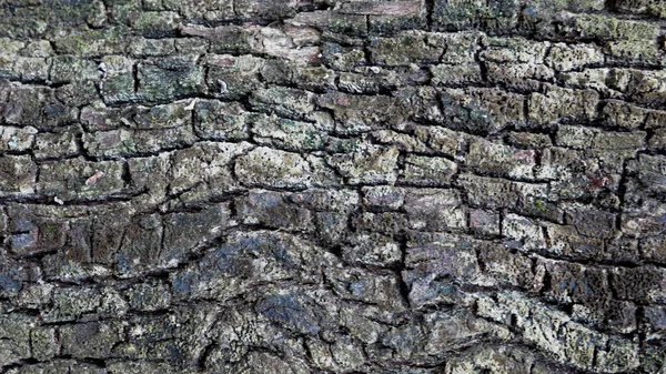 Pozadí Struktury Dřeva Hrubý Povrch Starého Stolu Přírodním Vzorem Horní — Stock fotografie