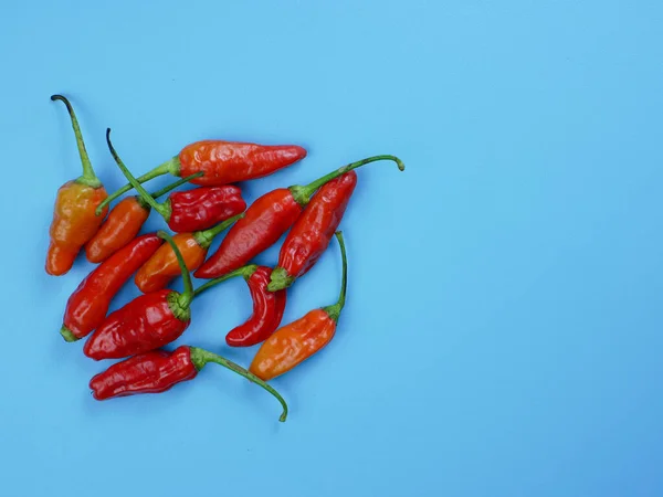 Вид Сверху Красный Чили Синим Фоном Подходит Приправы Приготовления Пищи — стоковое фото