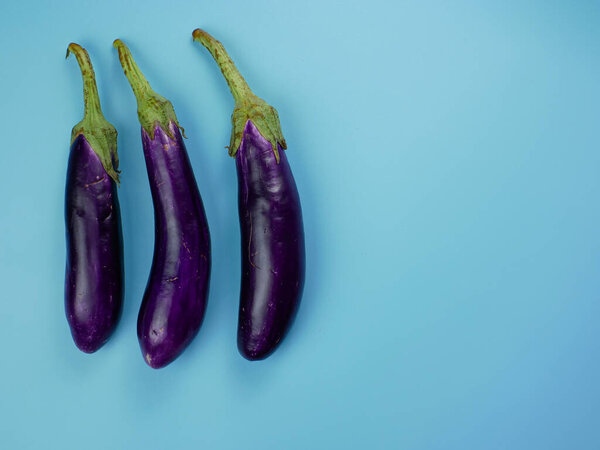 purple eggplant on a blue background. healthy food concept for diet.