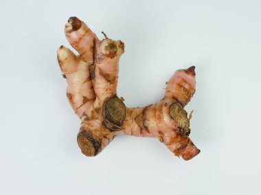 Galangal kök beyaz arkaplanda izole edilmiş. Yukarıdan görünüşü