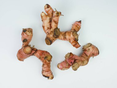 Galangal kök beyaz arkaplanda izole edilmiş. Yukarıdan görünüşü