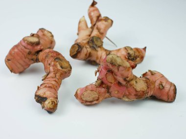 Beyaz arka plan üzerinde izole havlıcan kökü.