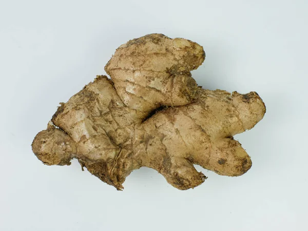 Ginger Root Isolated White Background View Top — Stock Photo, Image