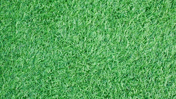 Green Grass Texture Background Copy Space — Stock Photo, Image