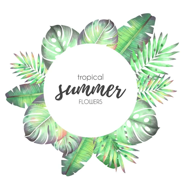 Illustration Vectorielle Cadre Fleur Tropicale — Image vectorielle