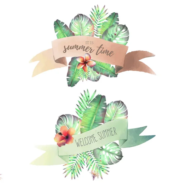 Illustration Vectorielle Conception Collection Rubans Tropicaux — Image vectorielle