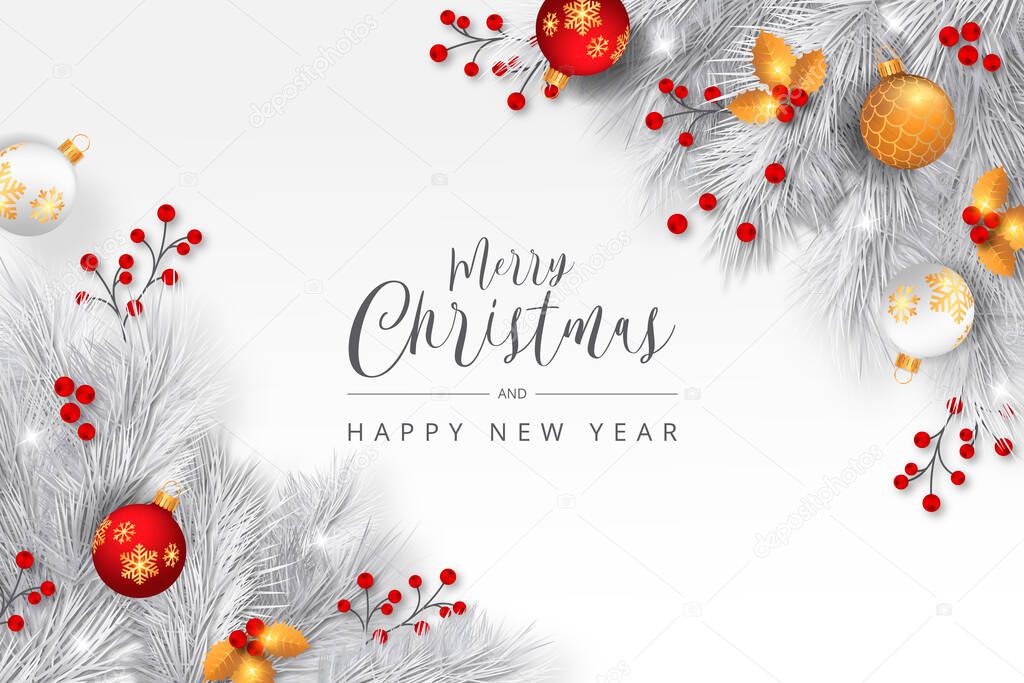 elegant christmas background with white branches