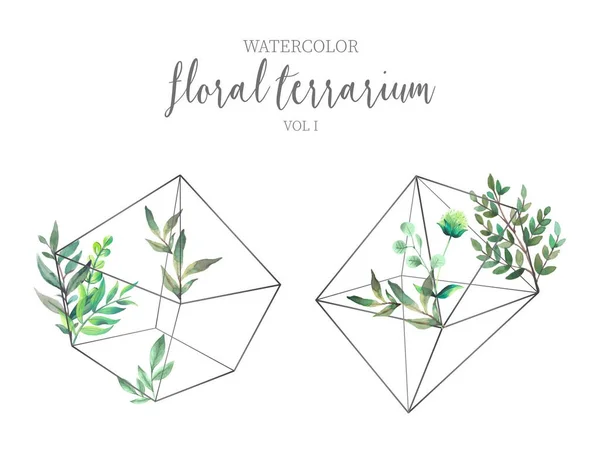 緑の葉を持つ花のテラリウムデザインベクトルイラスト — ストックベクタ