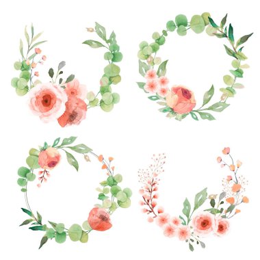 Okaliptüs yapraklı güzel çelenk koleksiyonu çiçek tasarımı vektör illüstrasyonu