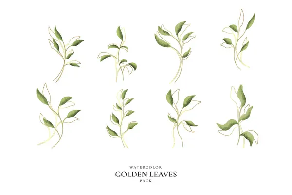 Aquarela Folhas Douradas Pacote Design Vetor Ilustração —  Vetores de Stock