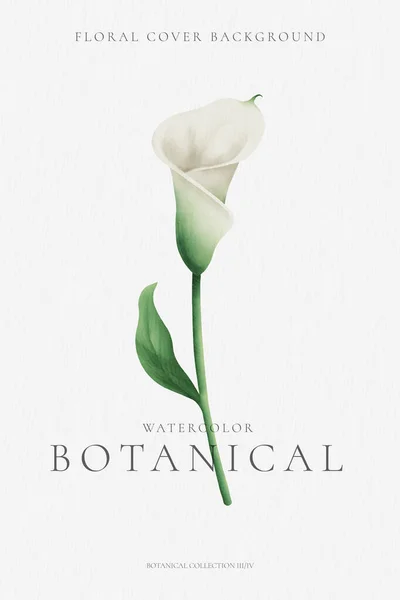 Minimaler Botanischer Hintergrund Mit Aquarelllilie Design Vektorillustration — Stockvektor
