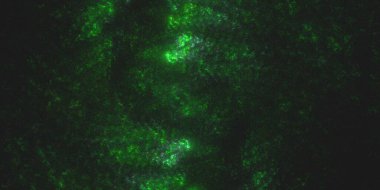 Soyut çok renkli ışık arkaplanı 3B görüntüleme