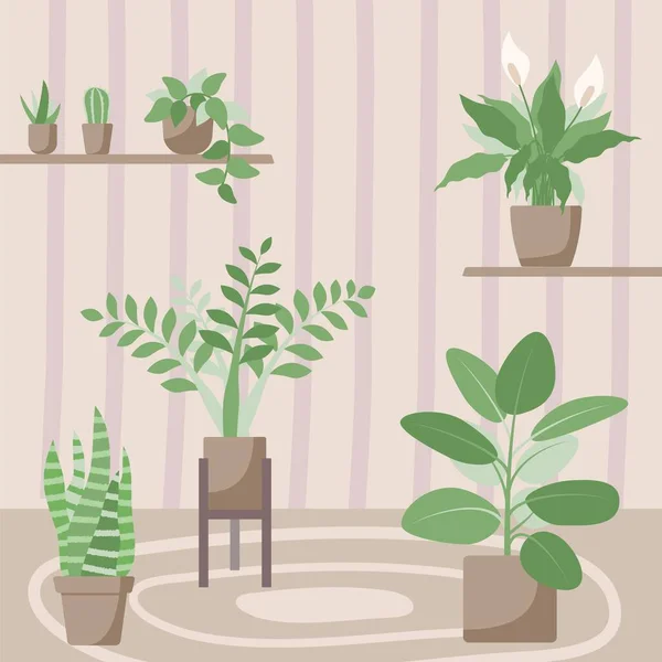 Vektoros illusztráció beltéri növényekkel. Házi dekoráció. Lapos stílus. Aloe, kígyó növény, ficus, ZZ növény, spathiphylllum, kaktusz, scindapsus. — Stock Vector