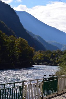 Arkasında dağlar olan dağ nehri.