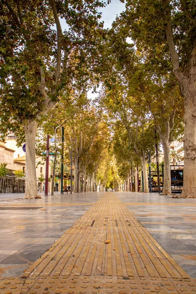 Stedelijke Straatjes Murcia Spanje — Stockfoto