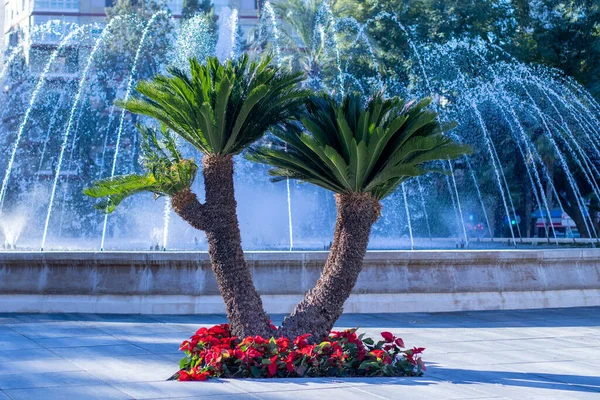Tree Red Flowers Water Fountain Background — Stock Photo, Image