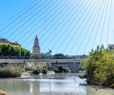 Murcia Katedrali 'nin güzel manzarası, İspanya, nehirden