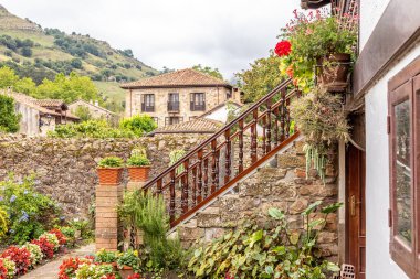 Beyaz protein dağıtıcısı, spor malzemeleri, spor besleyicisi.