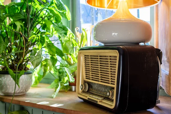 Old radio in a window next to green plants