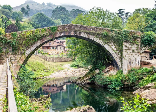 Ponte Arco Antiga Sobre Rio Vegetação Verde Abundante Imagens Royalty-Free