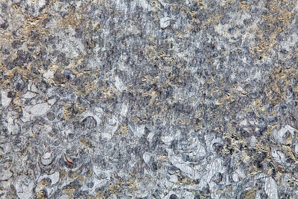 Abstrakt Rauh Weiß Braun Muster Stein Wandhintergrund Textur — Stockfoto