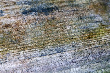 Eski Soyut Sert Çürümüş Çamurlu Ahşap Ahşap Döşeme Panelleri