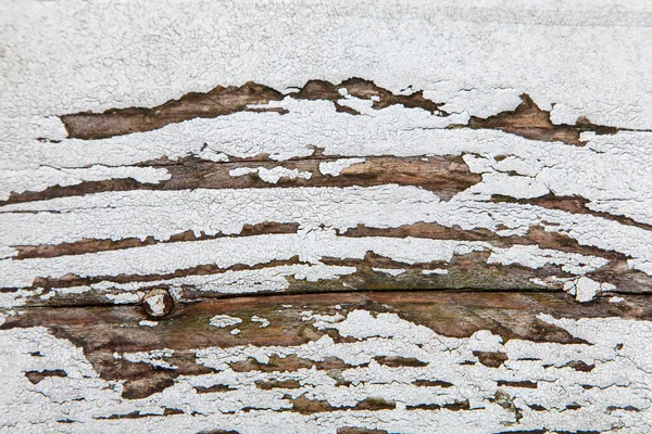 Abstrato Brown Textura Madeira Backgrund Flaking Grunge Weathered Pintura Branca — Fotografia de Stock