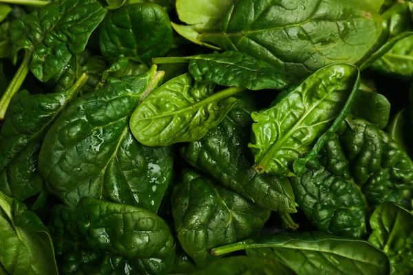 Organic food concept with spinach leaves closeup top view