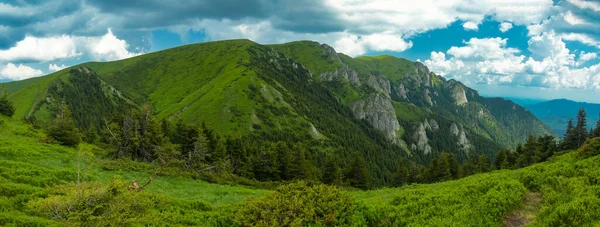 一个夏天的全景 有着高耸入云的珠穆朗玛峰石峰 山峰上有石灰岩峭壁 针叶林长成翠绿的高山牧场 罗马尼亚喀尔巴阡山 — 图库照片