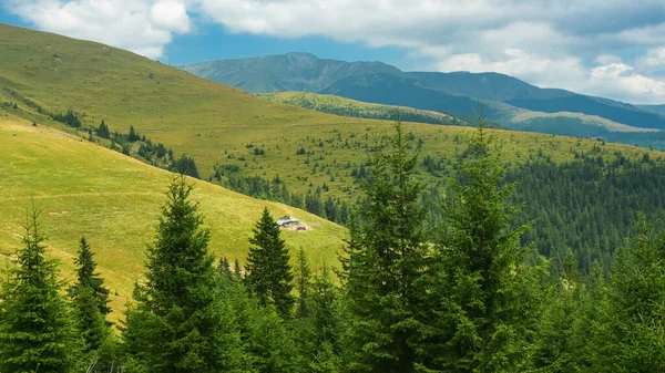 帕朗山山坡上的一个古老的木制羊圈 四周环绕着野生针叶林 罗马尼亚喀尔巴阡山 — 图库照片