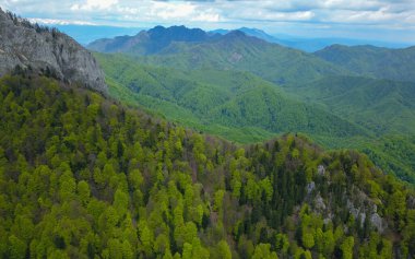 Capatanii Dağları 'nın kayalık tepelerini kaplayan vahşi kayın ormanlarının üzerindeki hava aracı görüntüsü. Güneşli bahar günü, Carpathia, Romanya.