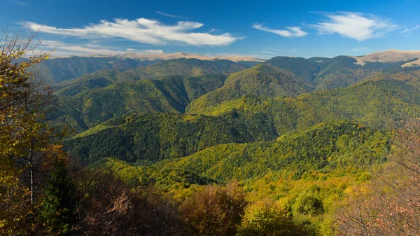 Capatanii Dağları Nın Eteklerinde Büyüyen Kayın Ormanlarının Üzerindeki Panoramik Manzara — Stok fotoğraf