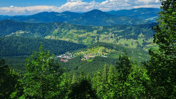 Ein Ländlicher Ferienort Den Grünen Hügeln Und Weiden Des Ceahlau — Stockfoto