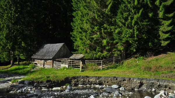 Kozalaklı bir ormanın yanına ve Jiet deresinin yakınına yapılmış ahşap bir koyun ağılı. Parang Dağları, Karpatya, Romanya.