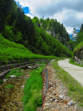 Lotru Nehri 'nin dağlık bir orman bölgesindeki dar bir kanaldan akışını dikey olarak gösteren drone görüntüsü. Nehir boyunca çakıl yolu esiyor. Keskin kayalıklar vadiyi daraltıyor. Carpathia, Romanya