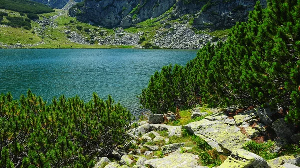 Sendero Través Los Arbustos Enebro Una Laguna Glaciar Ubicada Las — Foto de Stock