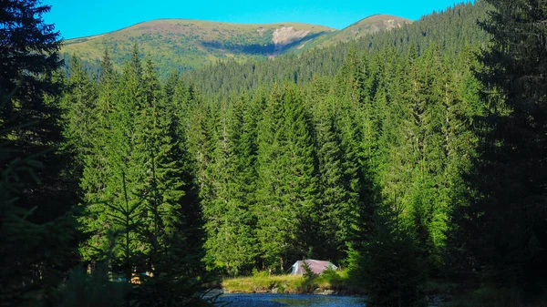 Yüksek dağ zirvelerinin altındaki yeşil bir açıklıkta kamp kurmuş günbatımı manzarası. Tüm manzara yoğun kozalaklı ormanlarla tamamlanmıştır. Parang Massif, Karpatlar, Romanya.