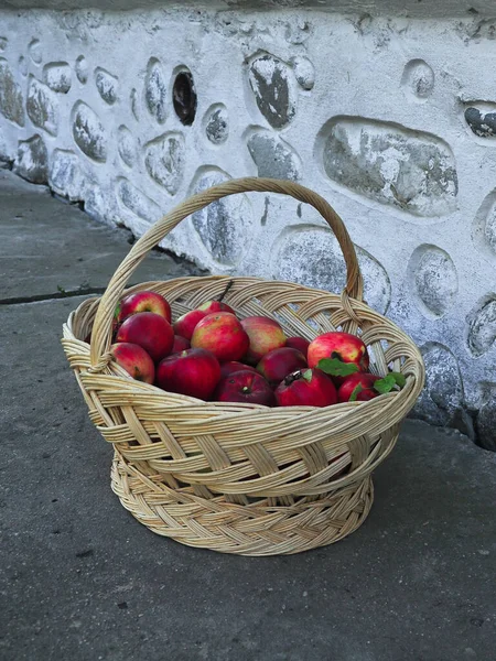 Beton bir sokakta duran kırmızı taze organik elmayla dolu bir hasır sepet. Romanya kırsalında geleneksel tarım. 