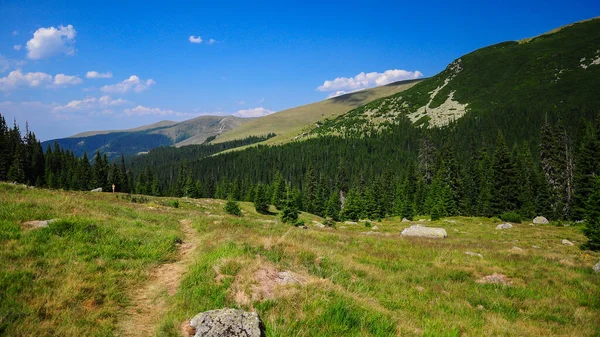 Caminhando Caminho Longo Pasto Com Vista Para Cristas Das Montanhas — Fotografia de Stock