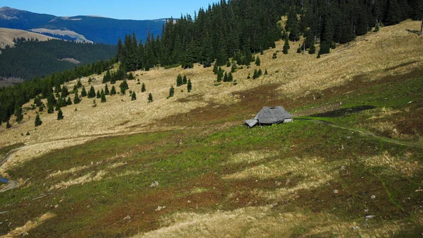 Outono Colorido Pasto Alpino Que Coloca Uma Cabine Madeira Prado — Fotografia de Stock