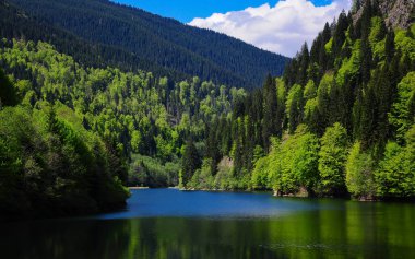Bir dağ gölünün mavi suları güneş ışığına yansıyor. Kayın ağaçları baharda olduğu gibi parlak yeşildirler. Carpathia, Romanya.