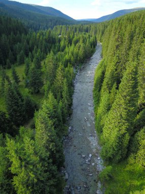 Lotru nehrinin yukarısındaki hava aracı dikey panorama kozalaklı bir ormandan akıyor. Alacakaranlık zamanı, Parang Dağlarının tepeleri ve tepeleri gölgelerle kaplıdır. Carpathia, Romanya.